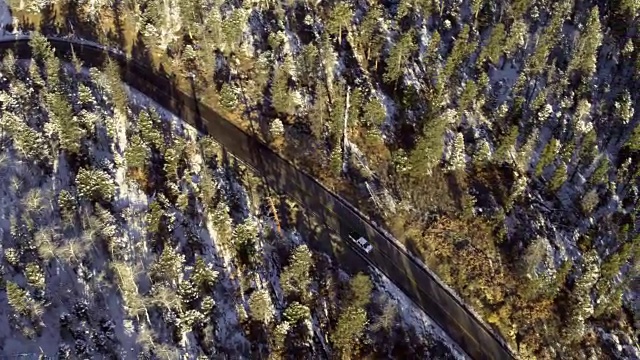 高角度的卡车驾驶在绿树成荫的道路，陶斯，新墨西哥州，美国视频素材