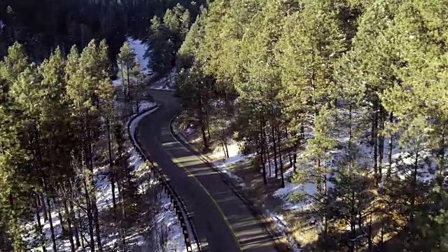 高角度的绿树成荫的道路，陶斯，新墨西哥州，美国视频素材