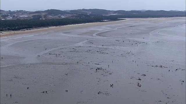 蒙三坡滩泥滩鸟瞰图视频素材