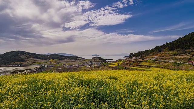 清山岛(著名旅游景点)油菜地的素丕耶路延时拍摄视频素材