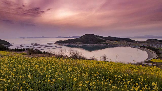 著名旅游景点清山岛海岸线附近的油菜田延时拍摄视频素材