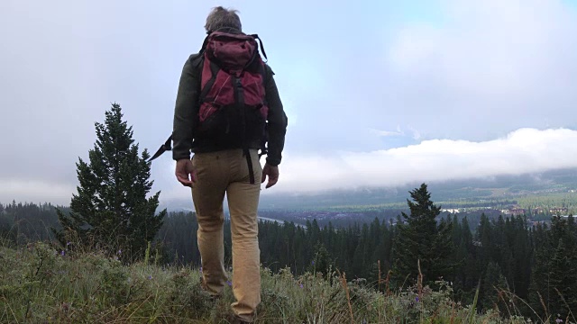 徒步旅行者穿过草地，眺望群山和森林视频素材