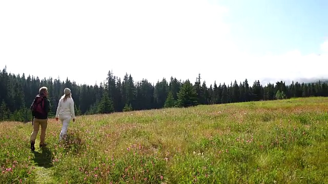 徒步情侣走在草地小径上，望向群山和森林视频素材