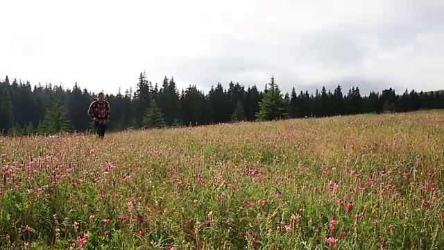 徒步旅行者穿过草地，眺望群山和森林视频素材