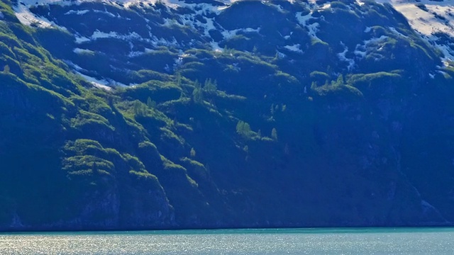 阿拉斯加冰川湾的绿色和白雪皑皑的海岸。视频素材