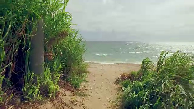 在海滩上散步的POV镜头。视频素材