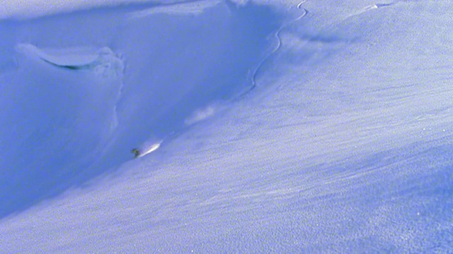 广角远射人滑雪板下山+出射视频素材