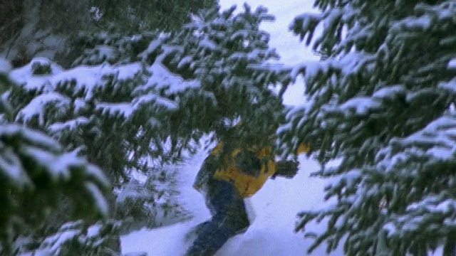 慢镜头缩小男子滑雪板通过树木对着摄像机/下雪视频下载