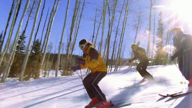 跟踪拍摄三名女子滑雪下山/背景树+太阳耀斑视频素材