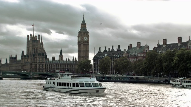 英国伦敦泰晤士河上成群的鸟，背景是大本钟。视频素材