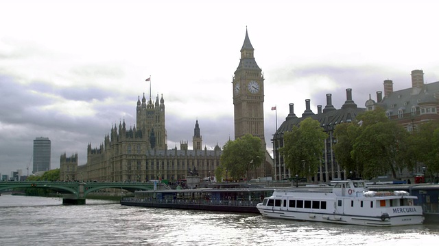 英国伦敦，鸟儿飞过水面，背景是威斯敏斯特宫。视频素材