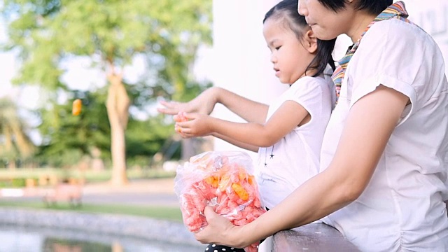 母亲和女儿喂锦鲤视频素材