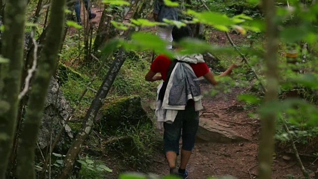 在岩石和树木之间徒步旅行的人视频素材