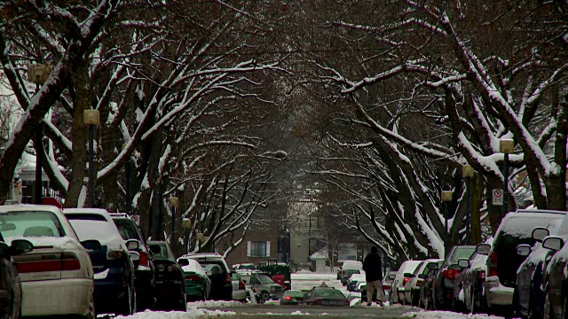 雪后蒙特利尔的汽车和公共汽车视频素材