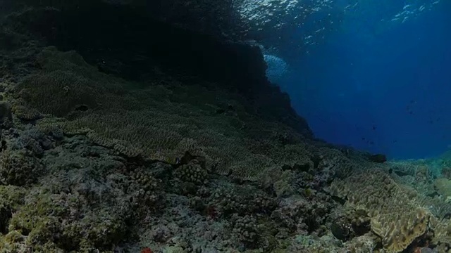 海面，珊瑚礁，岩石，海底，印度尼西亚视频素材