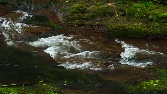 春天的河流视频素材