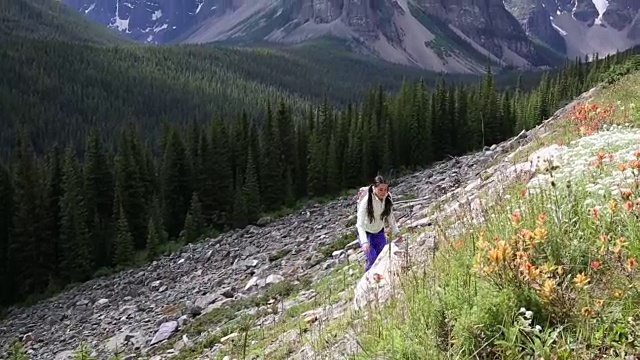 女性徒步旅行者爬上山坡，眺望群山和森林视频素材