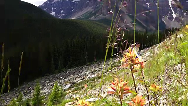 女性徒步旅行者爬上山坡，眺望群山和森林视频素材