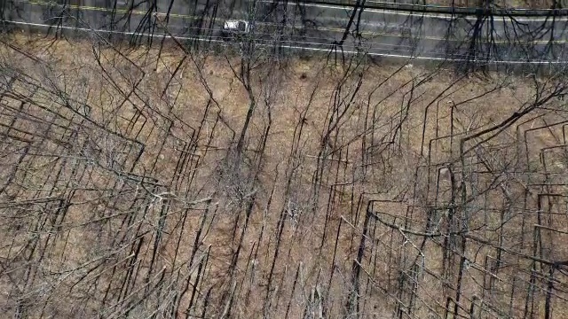 从空中俯瞰乡村公路，一辆汽车沿着河边行驶视频素材