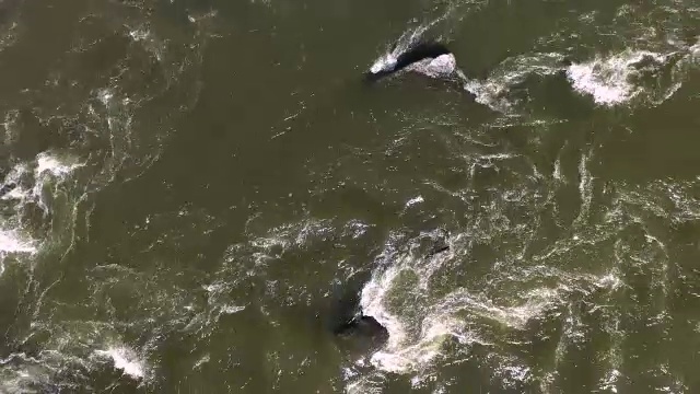 从空中俯瞰，河水从岩石上流过视频素材