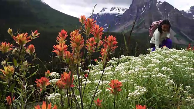 女性徒步旅行者爬上山坡，眺望群山和森林视频素材