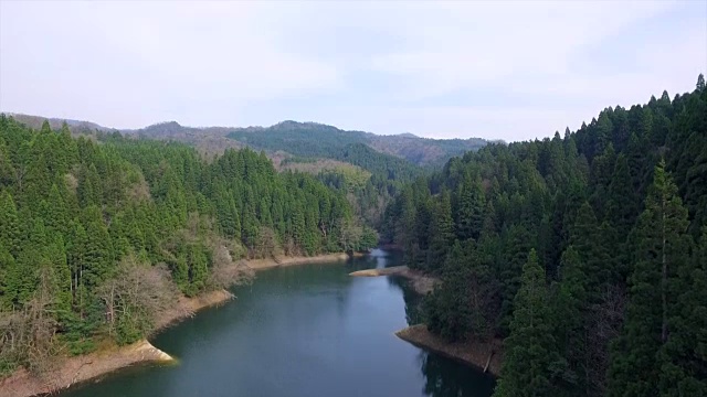 日本富山市森林的航拍镜头视频素材