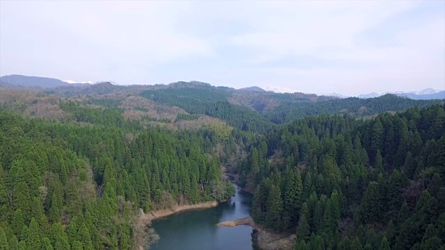 日本富山市森林的航拍镜头视频素材