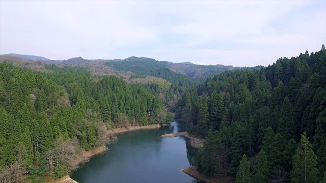 日本富山市森林的航拍镜头视频素材