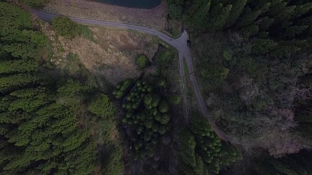 日本富山市森林的航拍镜头视频素材