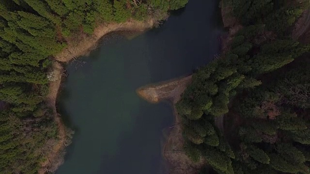 日本富山市森林的航拍镜头视频素材