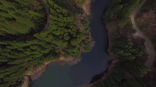 日本富山市森林的航拍镜头视频素材