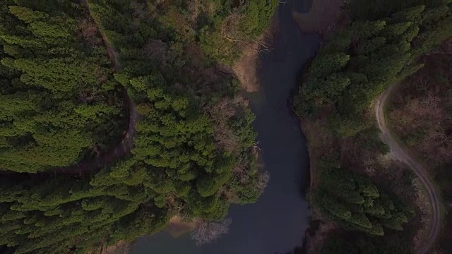 日本富山市森林的航拍镜头视频素材