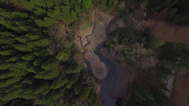 日本富山市森林的航拍镜头视频素材