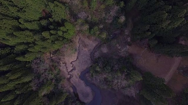 日本富山市森林的航拍镜头视频素材