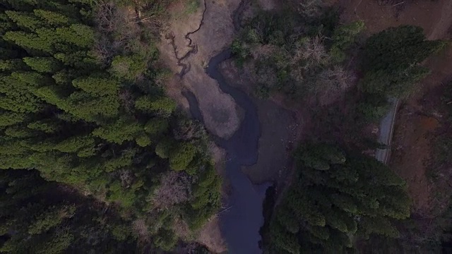 日本富山市森林的航拍镜头视频素材