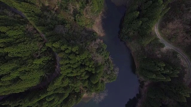 日本富山市森林的航拍镜头视频素材