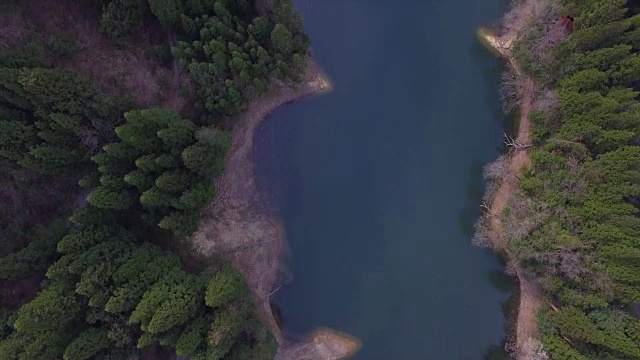 日本富山市森林的航拍镜头视频素材