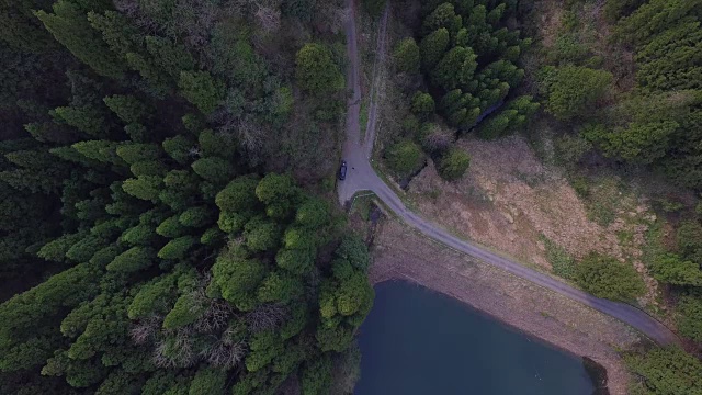 日本富山市森林的航拍镜头视频素材