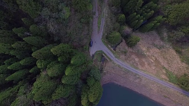 日本富山市森林的航拍镜头视频素材