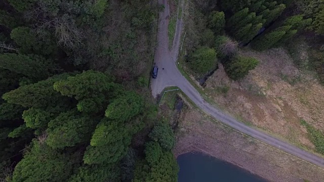 日本富山市森林的航拍镜头视频素材