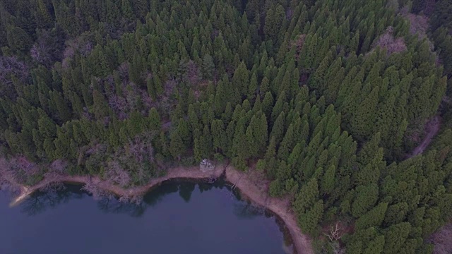 日本富山市森林的航拍镜头视频素材