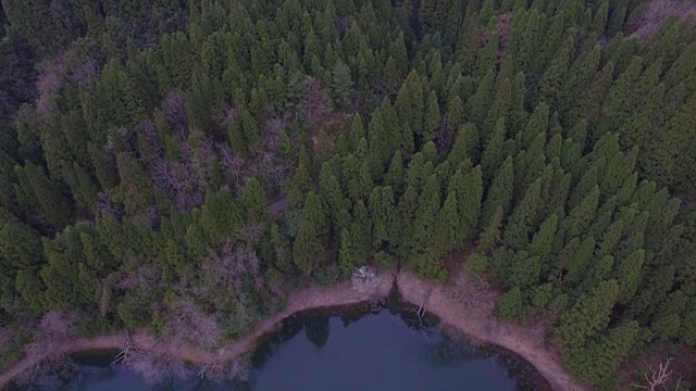 日本富山市森林的航拍镜头视频素材