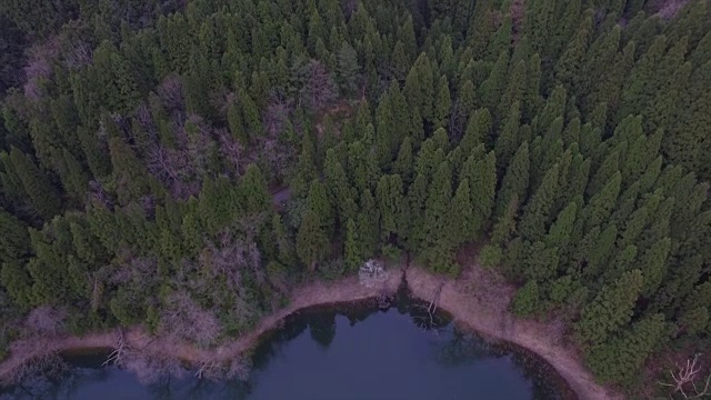 日本富山市森林的航拍照片视频素材