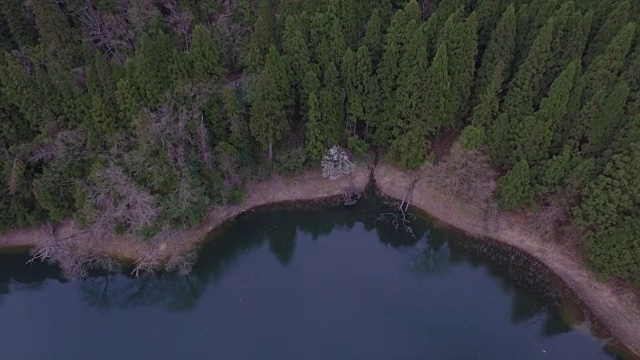 日本富山市森林的航拍镜头视频素材