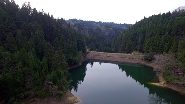 日本富山市森林的航拍镜头视频素材