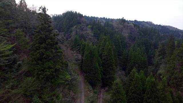 日本富山市森林的航拍镜头视频素材