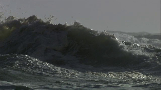 泡沫和水花抓住风，海浪撞击岩石海岸在暴风雨中，新西兰视频素材