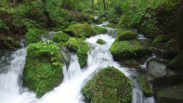 摄像机在永和山洞的莫斯谷飞行视频素材