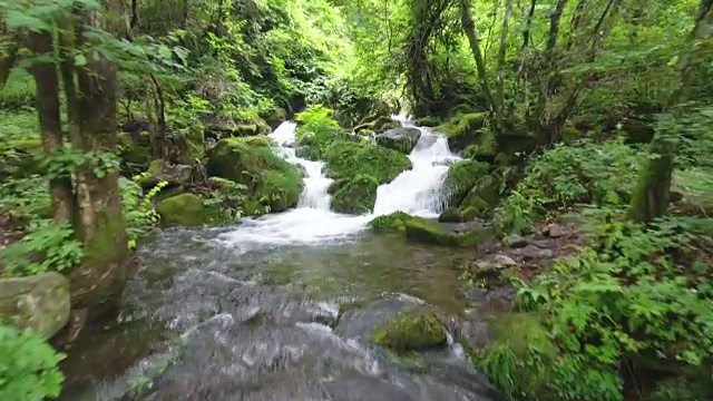 摄像机在永和山洞的莫斯谷飞行视频素材