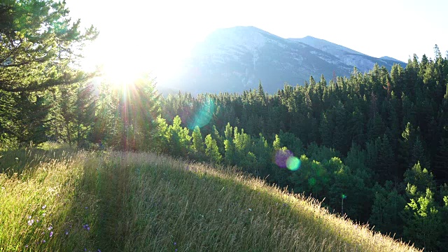 山地自行车穿过草地，太阳从后面的山上升起视频素材